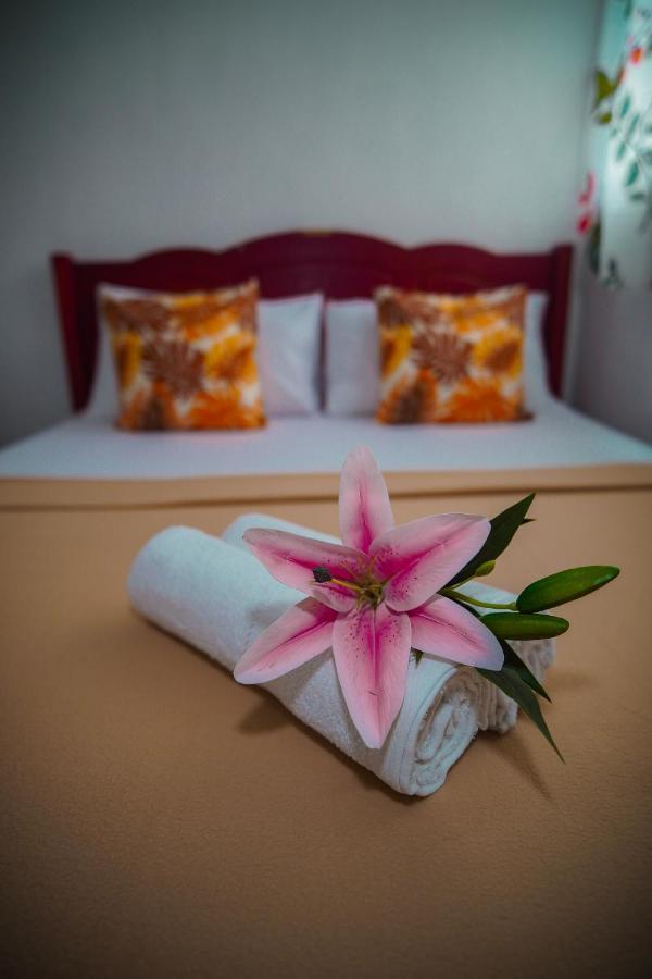 Amparo'S Tourist Inn - Coron Zewnętrze zdjęcie